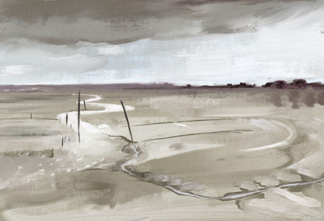 Devon Mudflats