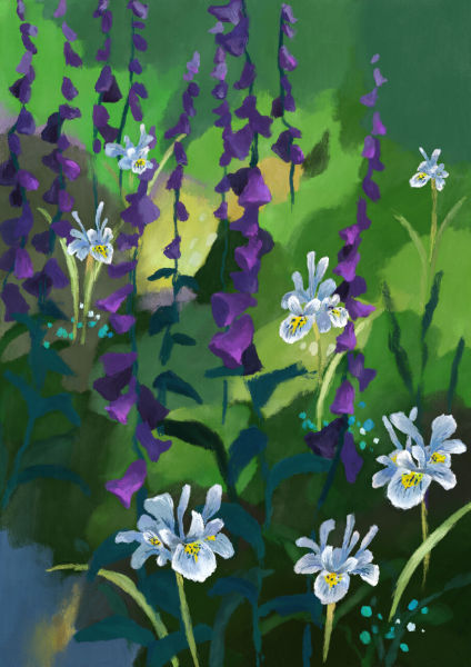 Bluebells and Iris